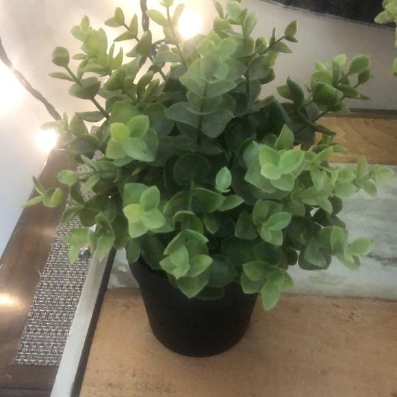 ❤️3/$30 IKEA fake plants 🪴 - Picture 7 of 8